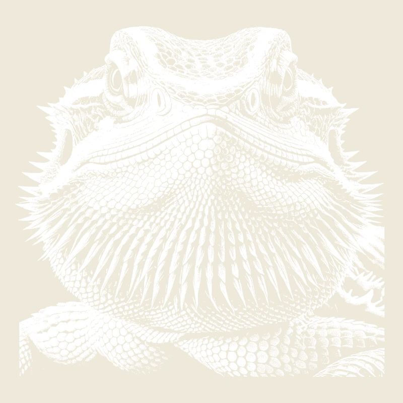Dragon barbu