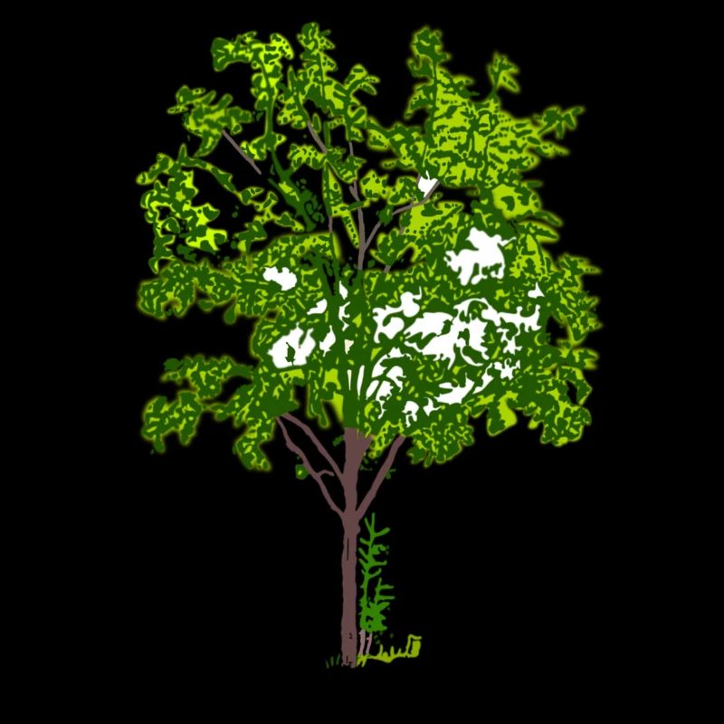 arbre