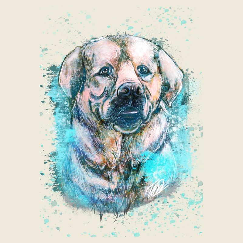 labrador Iceblue