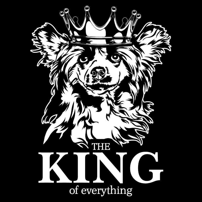 Chinese Crested Dog King of everything Wilsigns