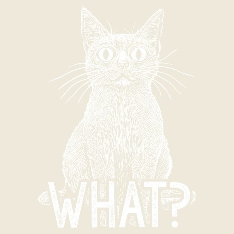 Cat What Funny White Cat with Intense Horror Stare