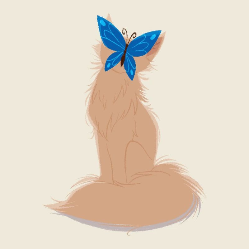 Traum-Coon