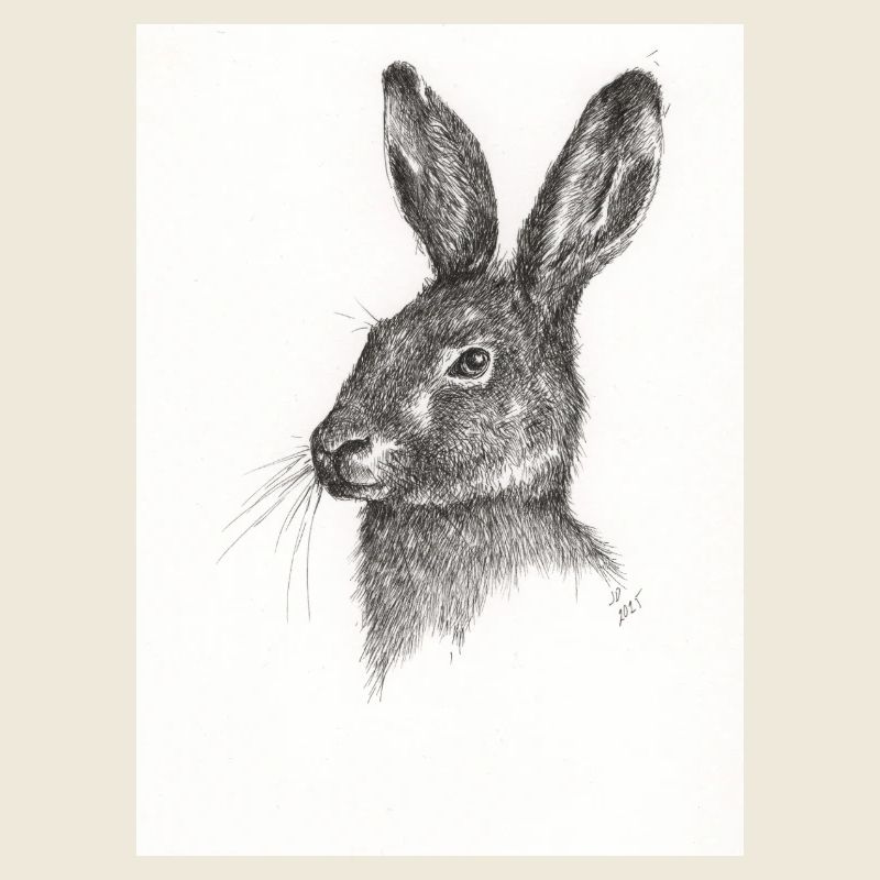 Not just another Rabbit