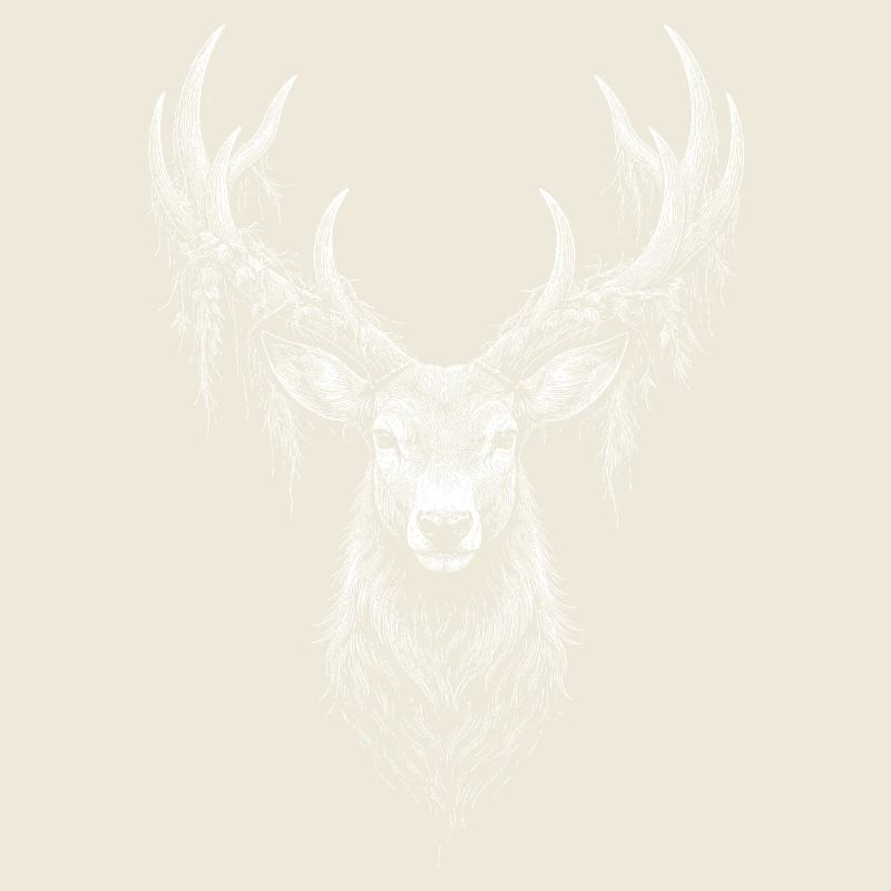 Cerf rouge