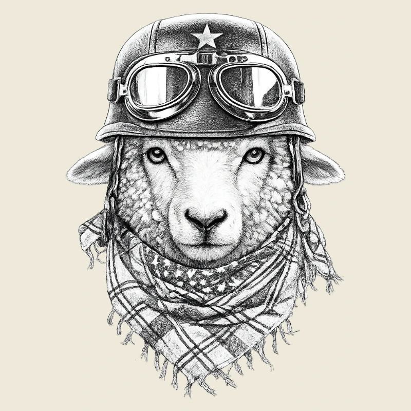Sheep in vintage look