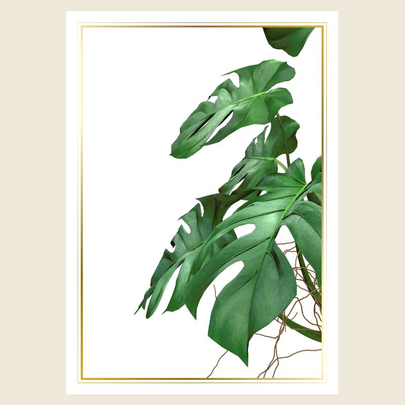 Feuilles de monstera dans un cadre doré