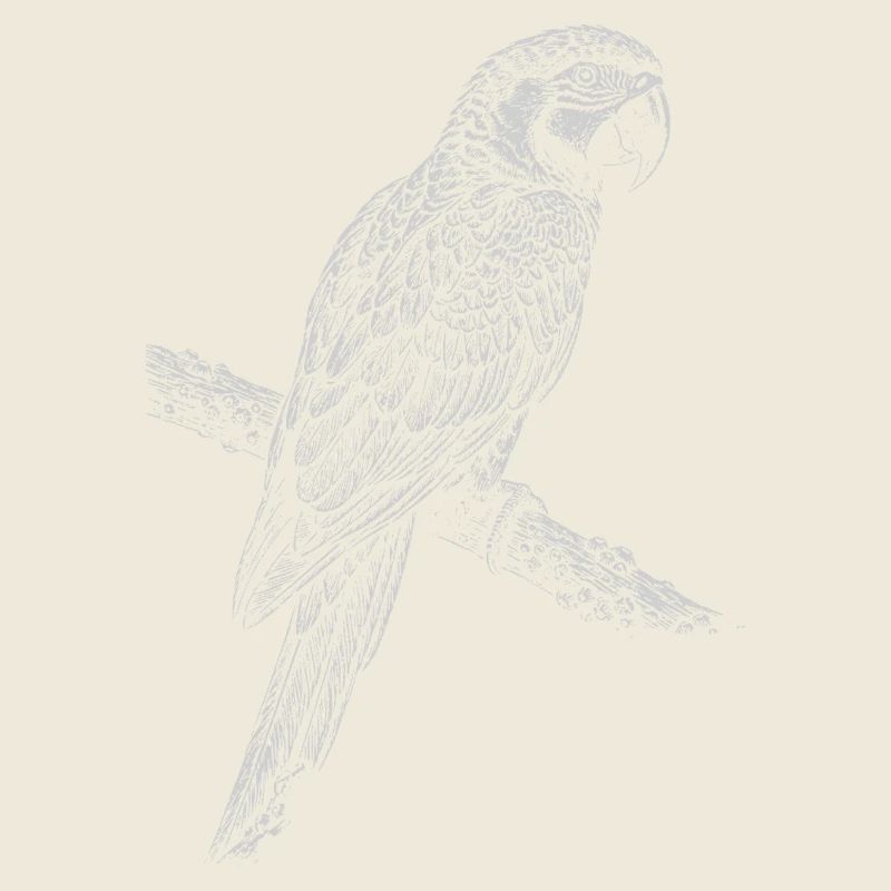 Parrot Silhouette on Branch