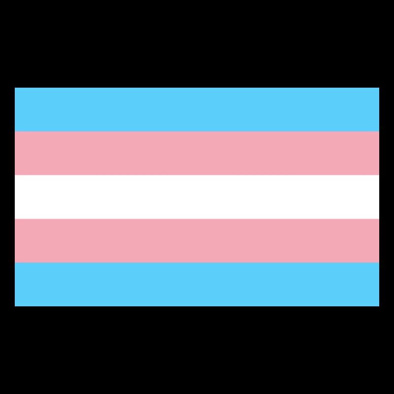 Trans-Flagge