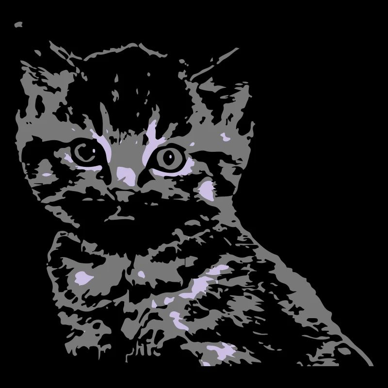 Katze Cat Katzengesicht