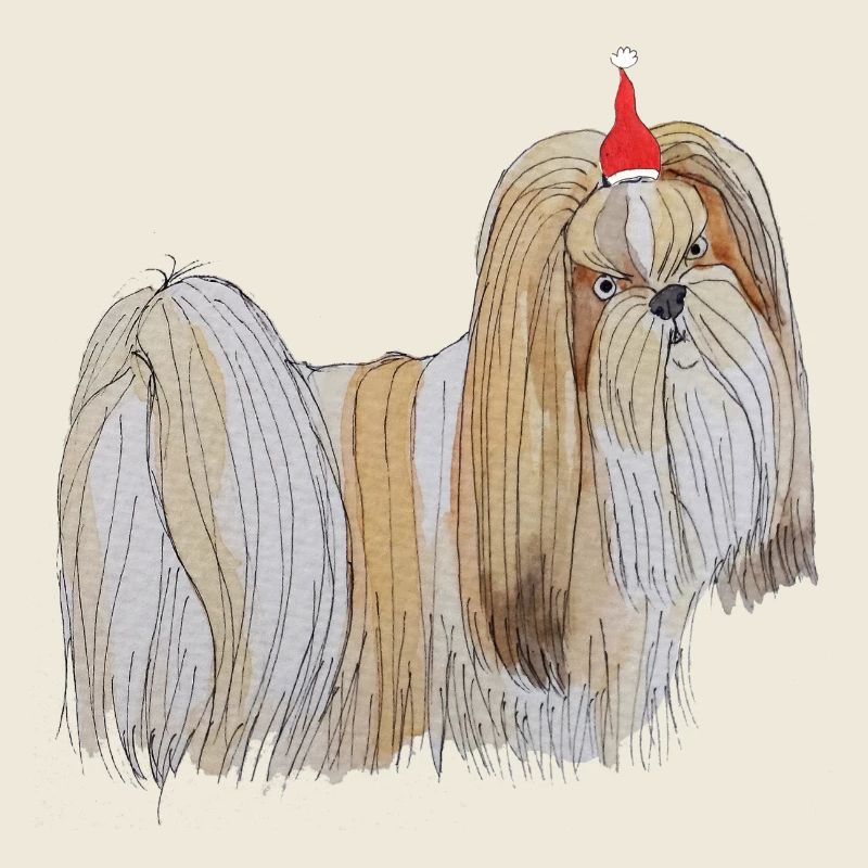 Noël à Lhassa Apso