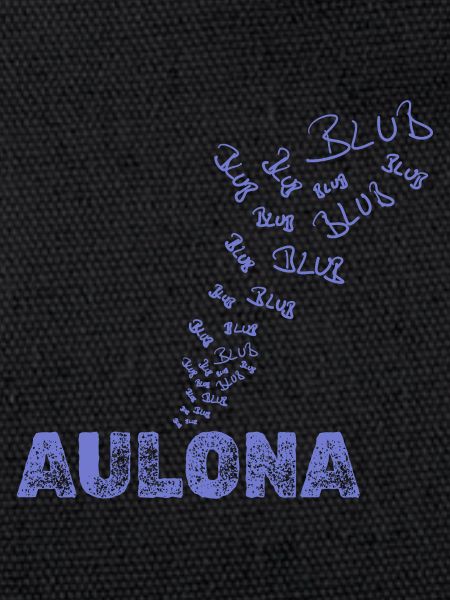 Navigation Aulona