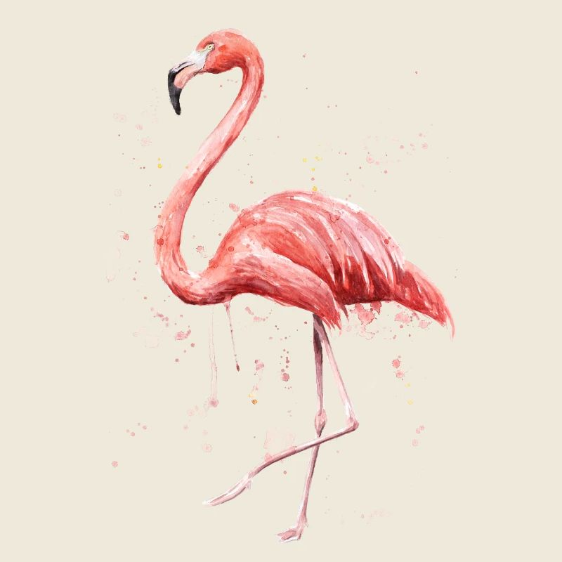 Flamingo