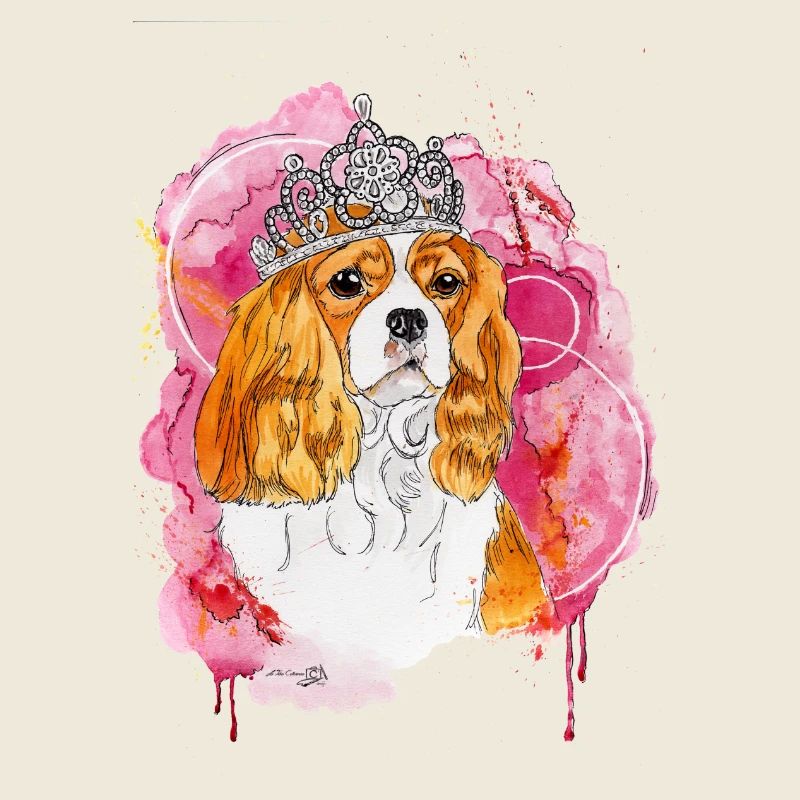 Cavalier KC Spaniel Bella