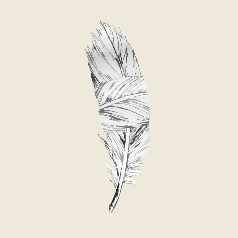 Black and White Feather