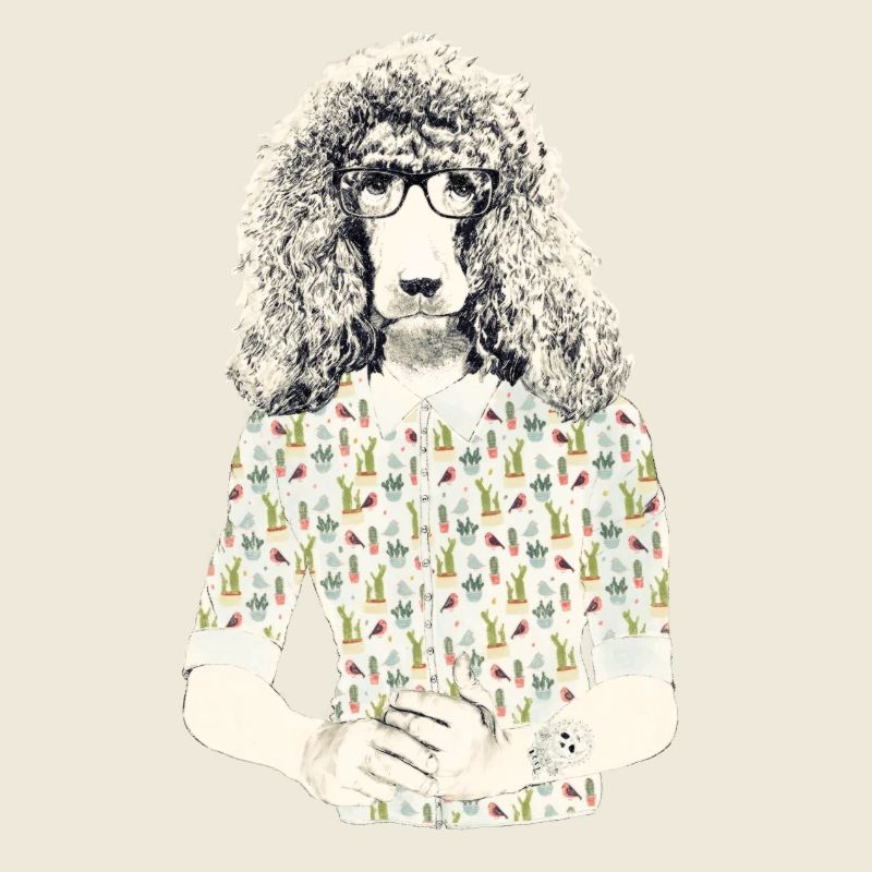 Hipster Caniche