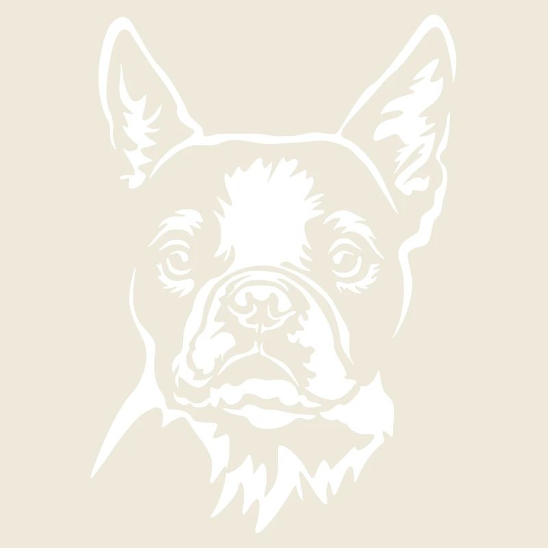 Boston Terrier tête « Black Edition »