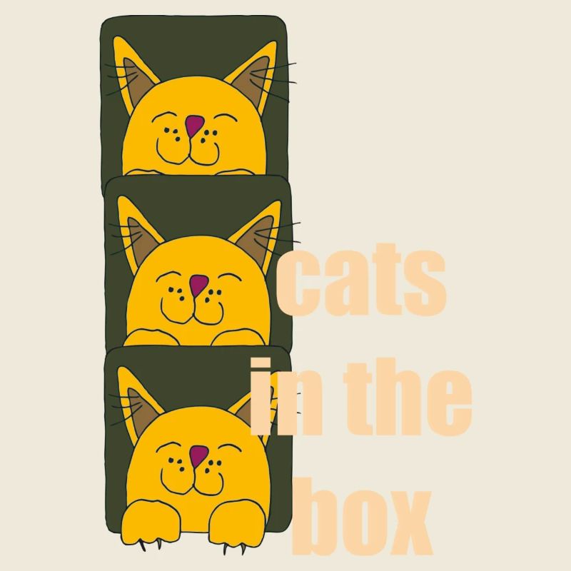 chats dans la boîte