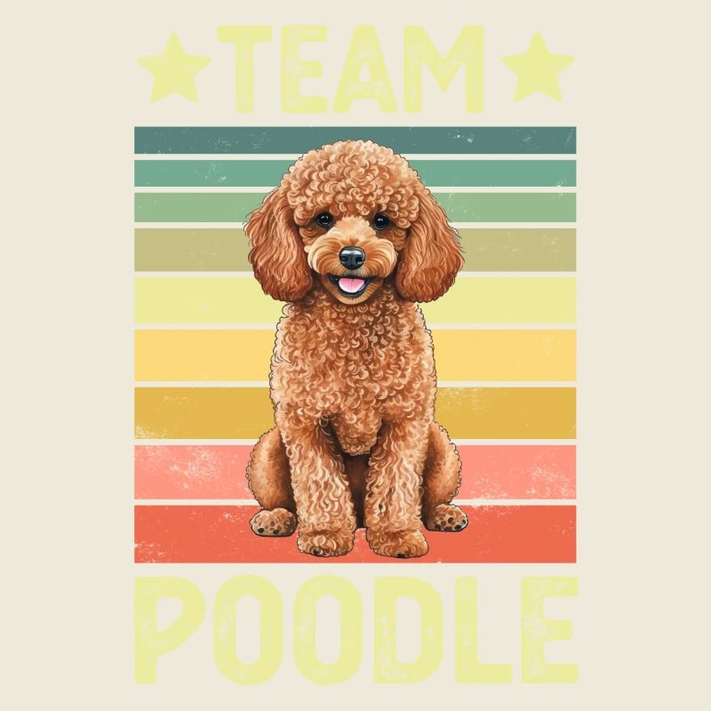 Caniche de chien