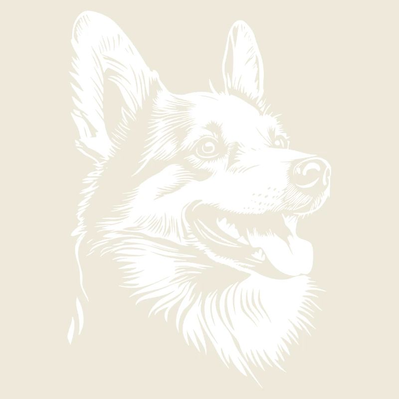 Corgi - Fan de chien
