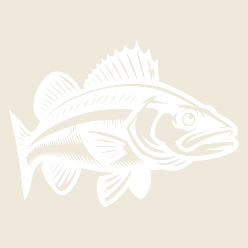 Elegant Zander Fish