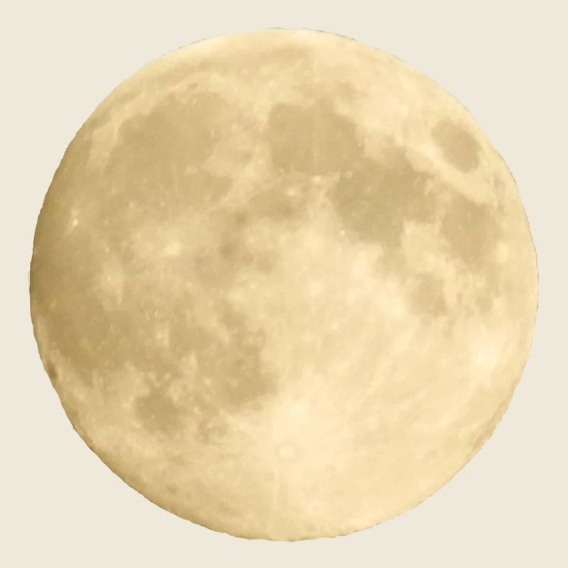 Mond