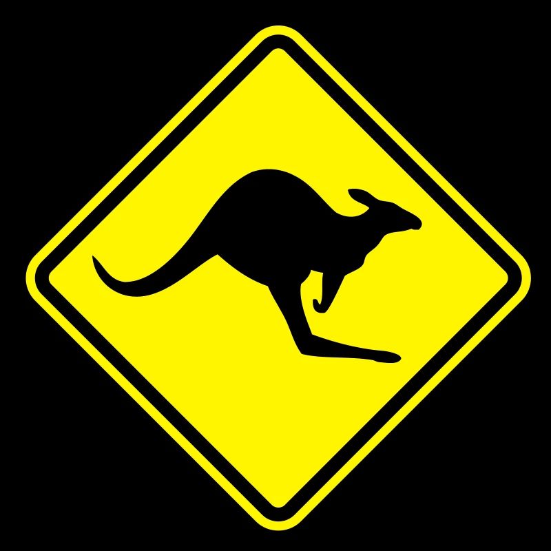 kangoroo_shield__f2