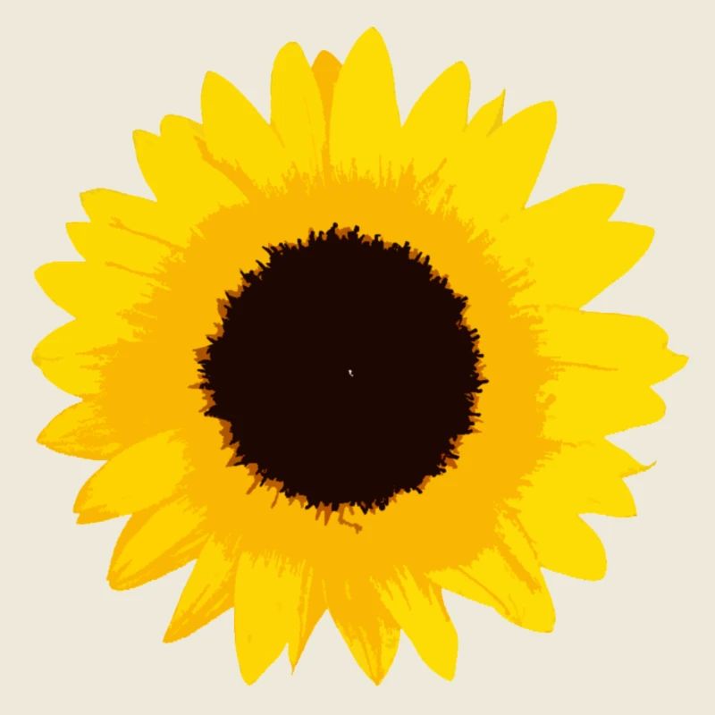 tournesol