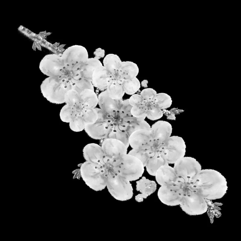 Cherry blossom