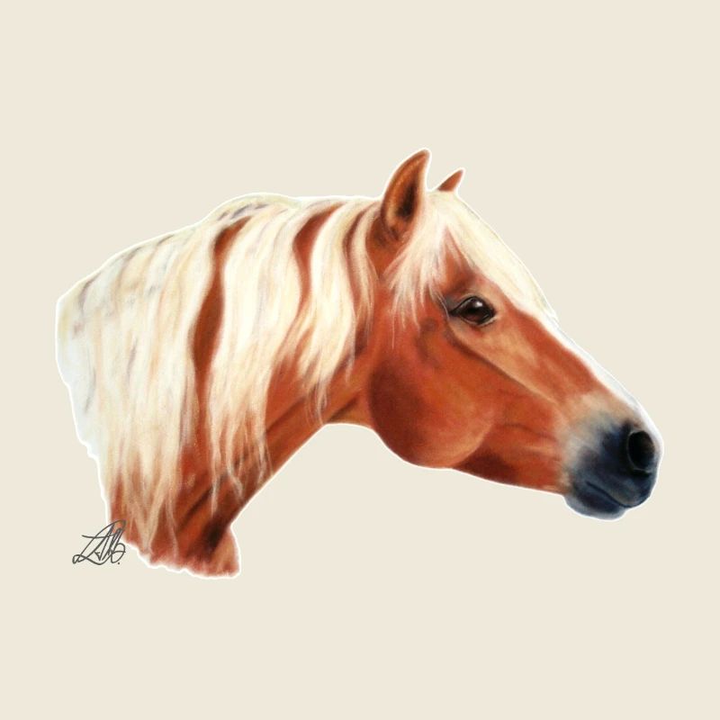 Haflinger Pferd