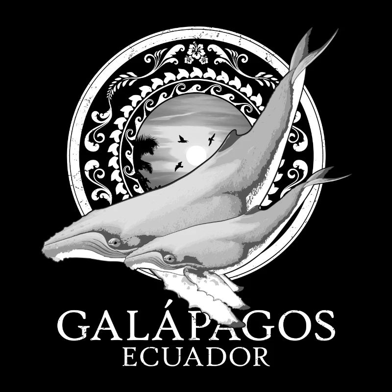Baleines à bosse Galápagos Équateur