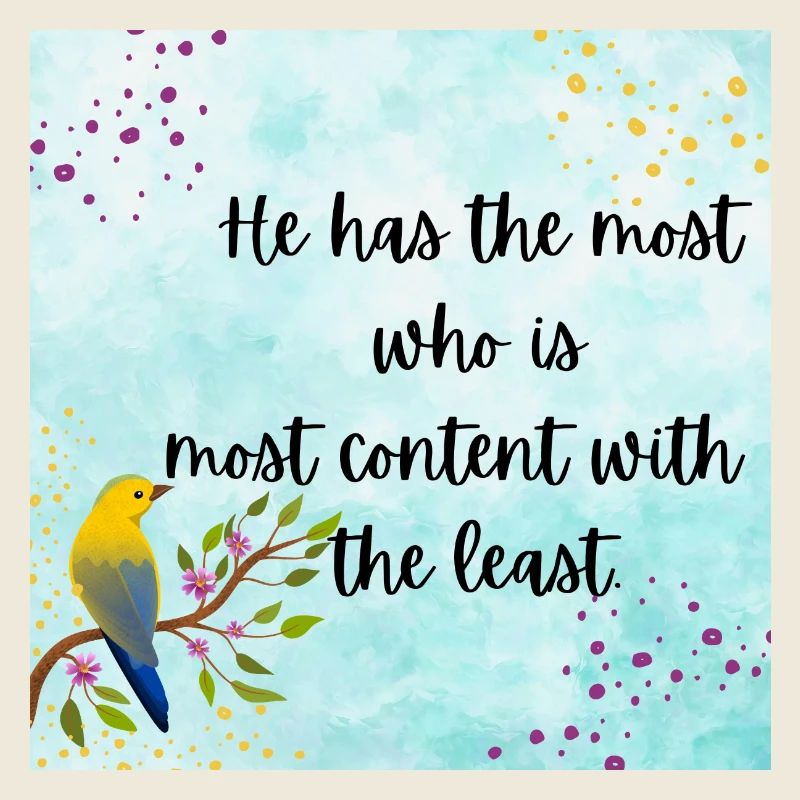 Contentment's True Wealth