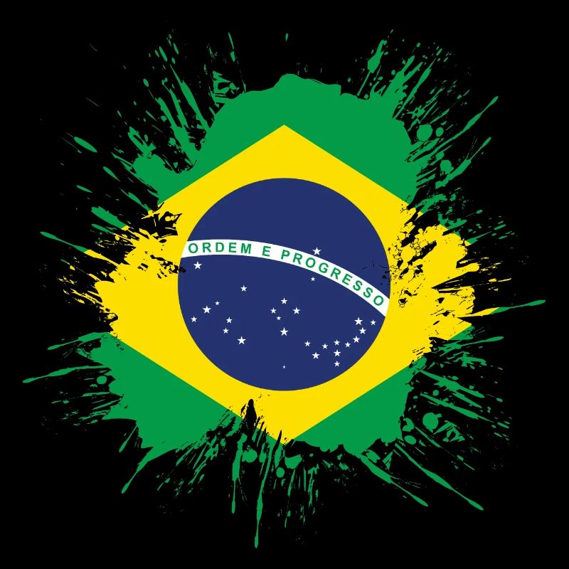 Drapeau du Brésil Drapeau de l’Amérique du Sud