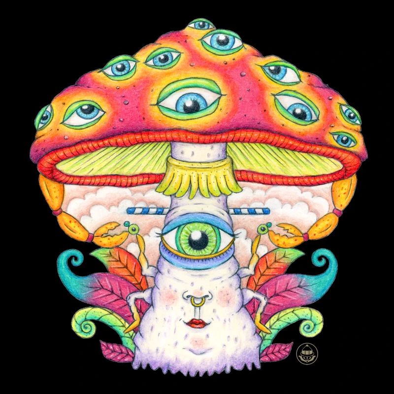Faites confiance à l’univers, champignon, champignon