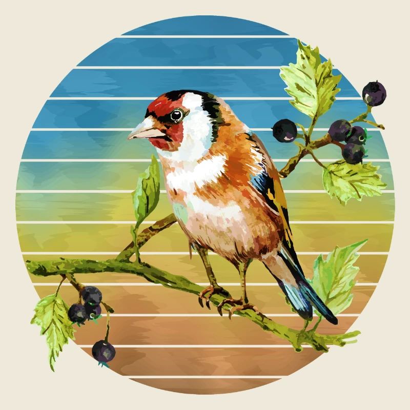 Oiseau coloré