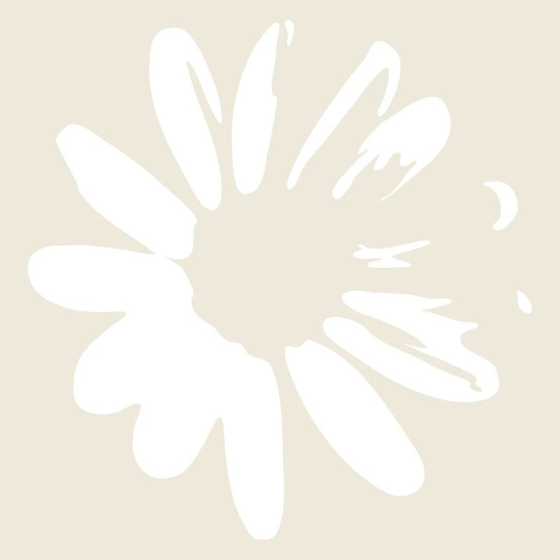 Daisies Spring Summer