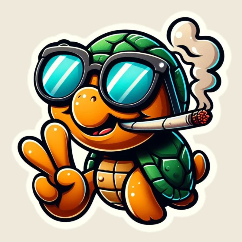 Coole Schildkröte mit Sonnenbrille