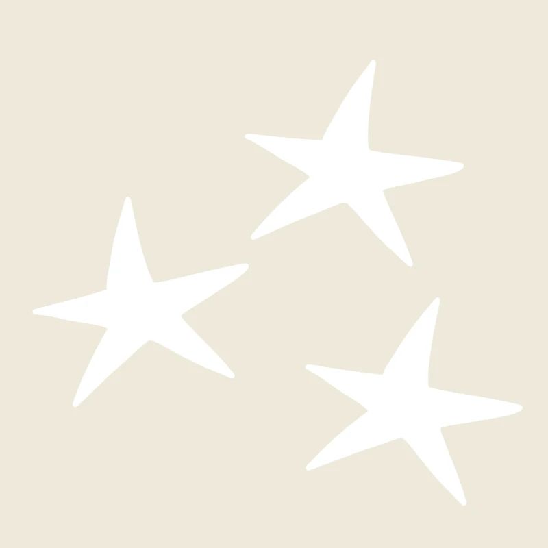 Icône motif étoile