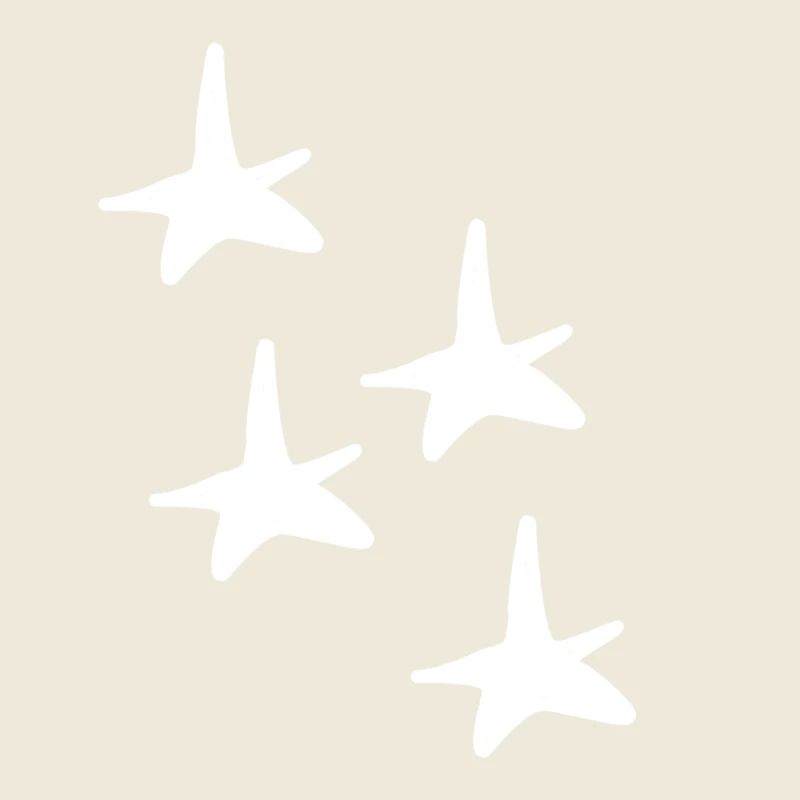 Four Star Star Shape Shape Symbol
