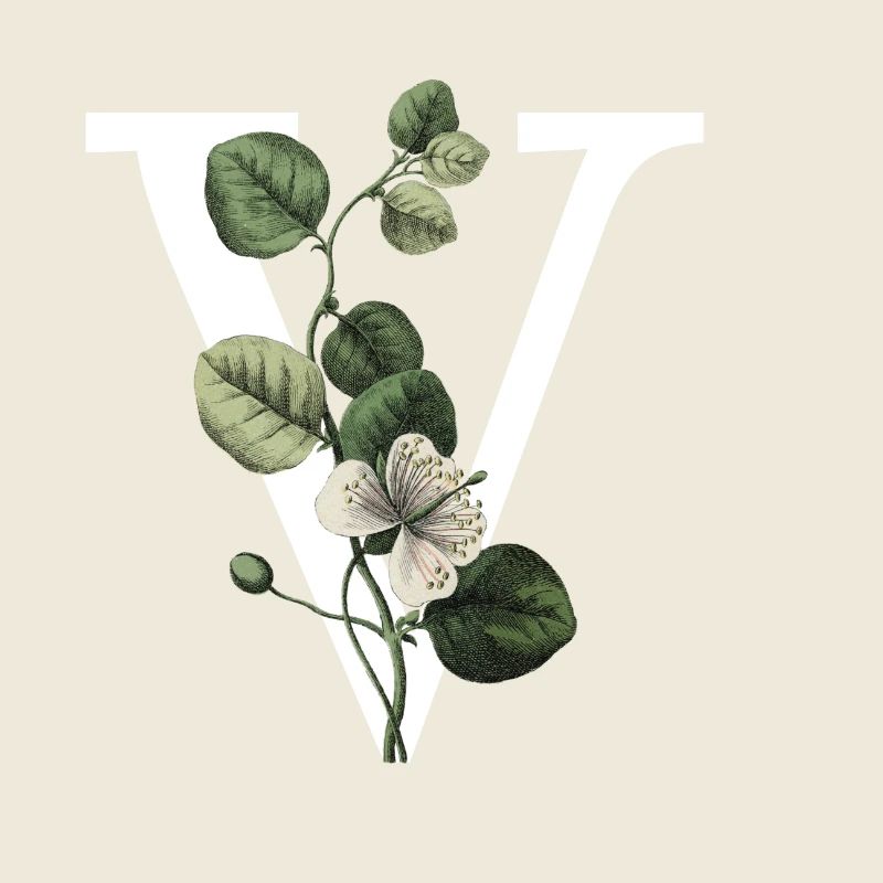 Grüner botanischer Buchstabe V