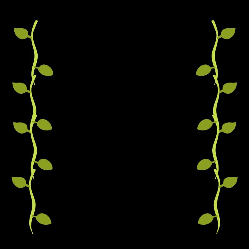 Feuilles Ligne Nature Branches de feuilles