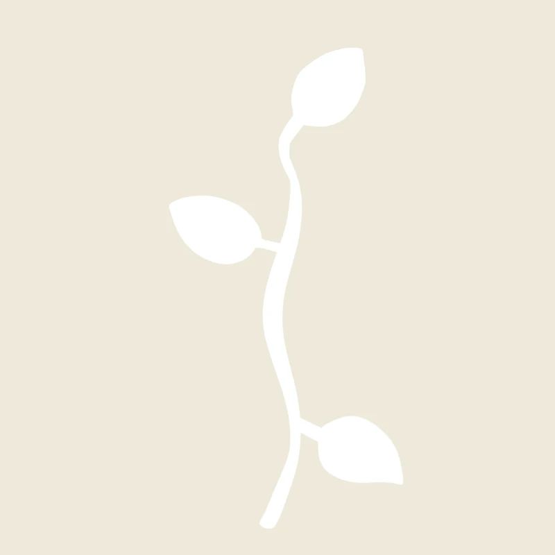 Feuille Feuilles Ligne Nature Branche