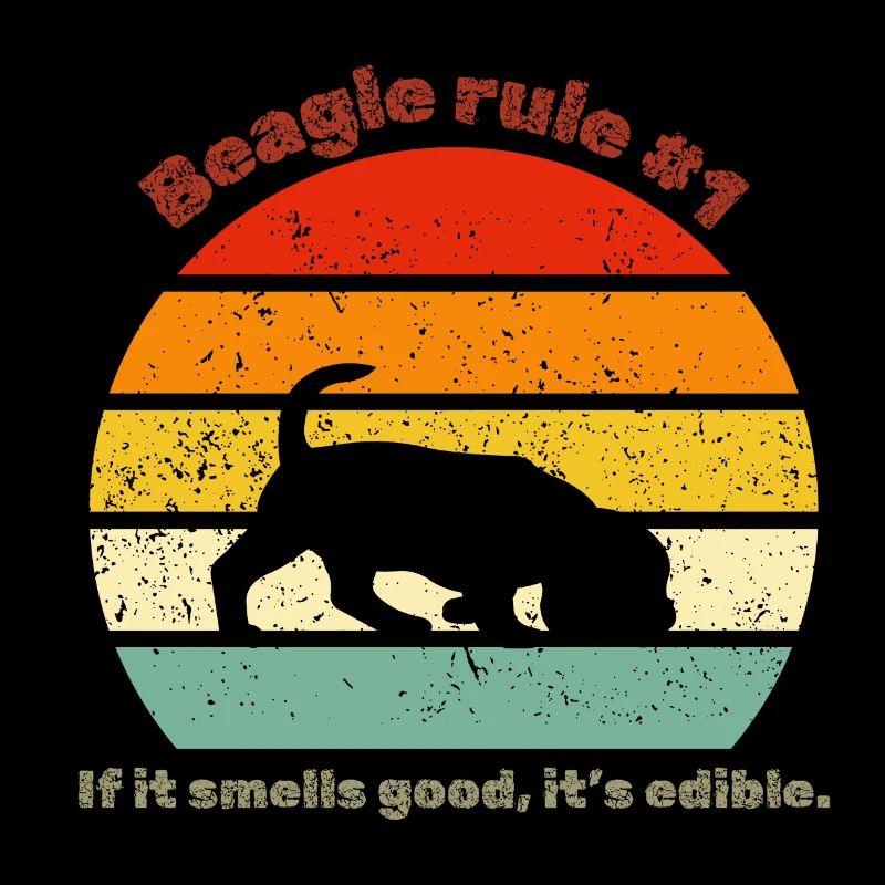 Beagle rétro