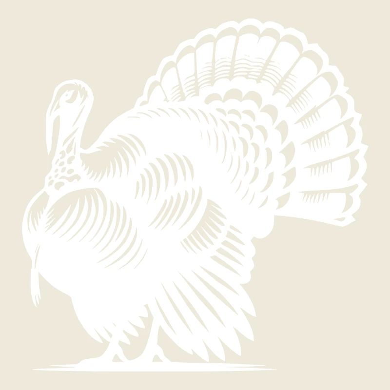 Large turkey with huge plumage