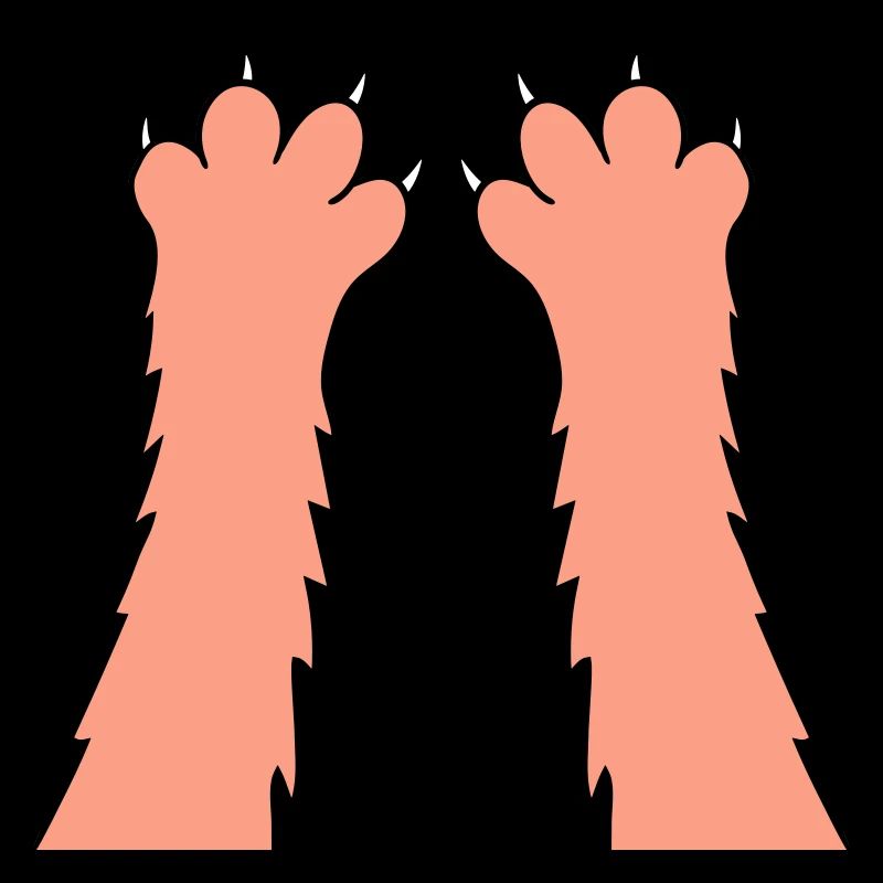 Cats, claws, paws, paws, sharp claws, scratching