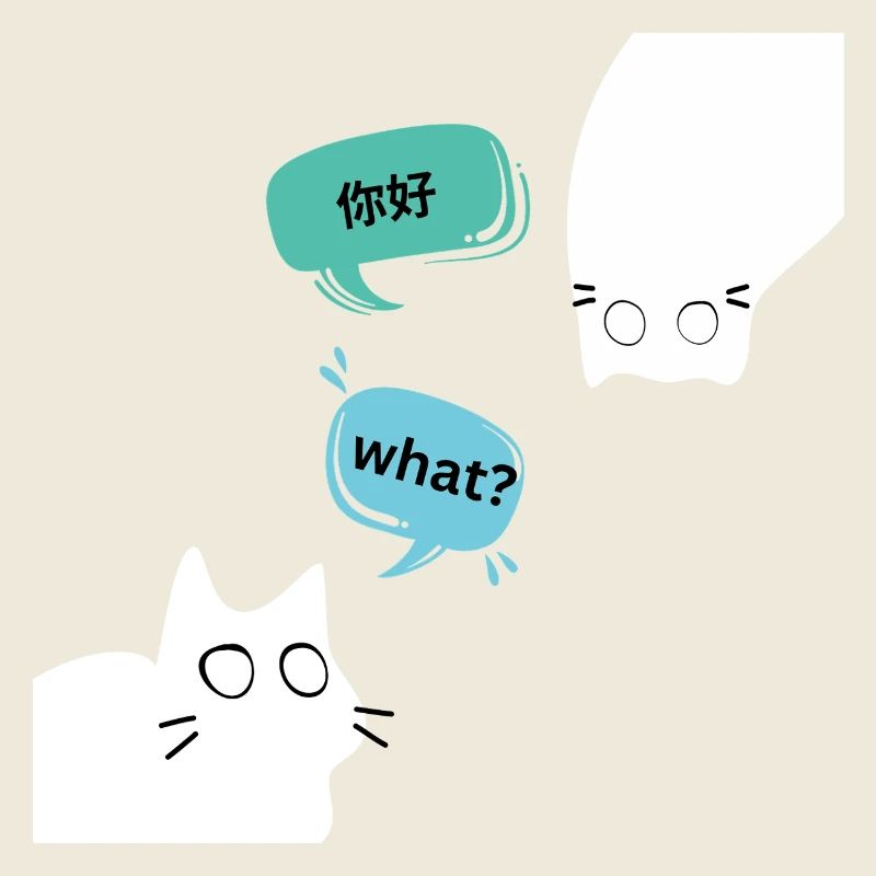 Chats qui parlent anglais et chinois