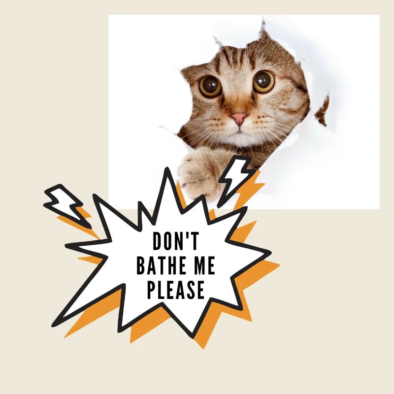 Ne me baigne pas chat