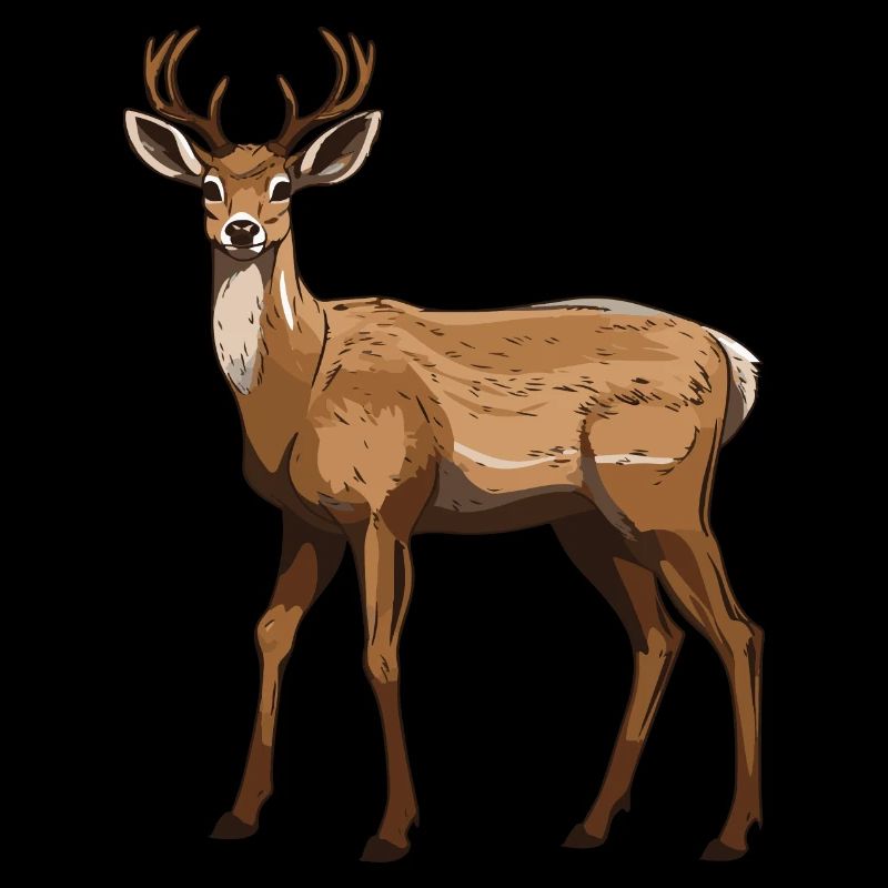 Cerf
