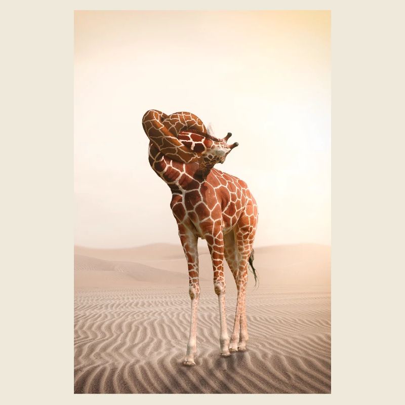 Giraffe mit einem Knoten im Hals