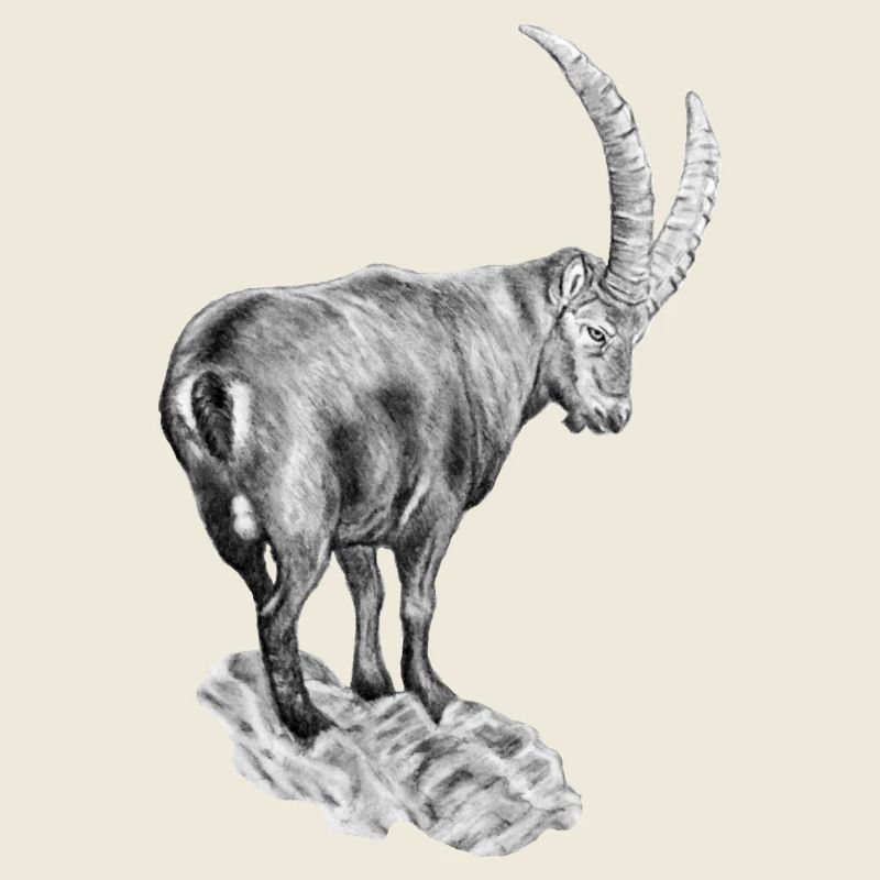 Trinkflasche "STEINBOCK"