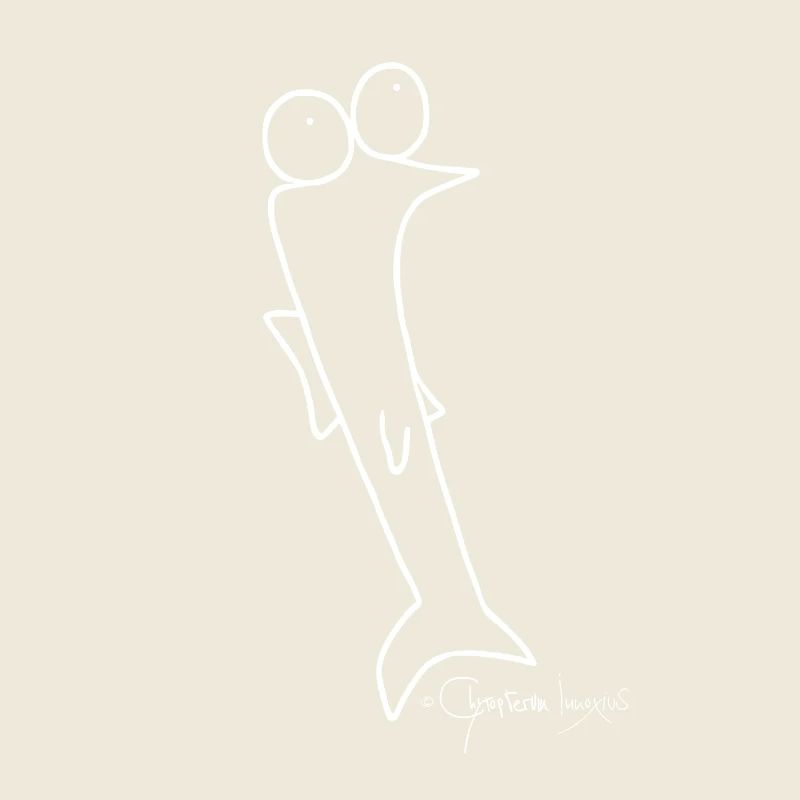 Cafard - Piscis Rutilus